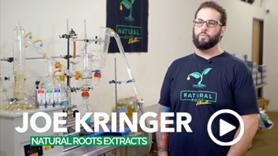 sm-Joe-Kringer-Natural-Roots-Extracts-Play.jpg
